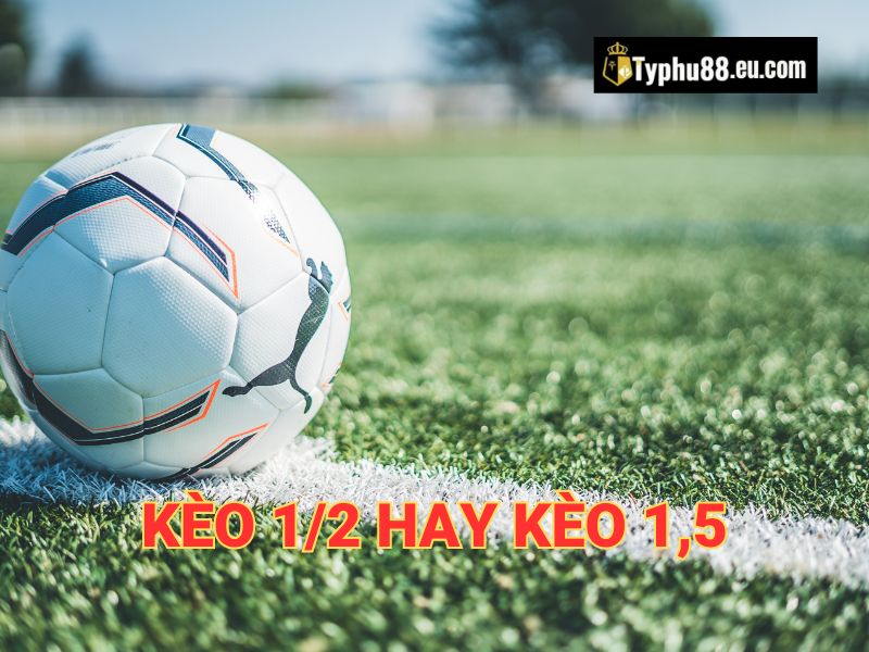 Kèo 1 1 2, được gọi là kèo chấp 1.5