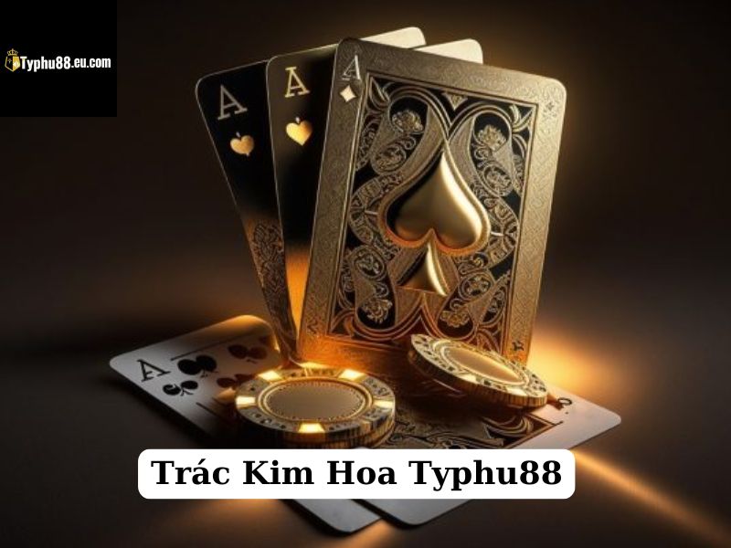 trác kim hoa typhu88